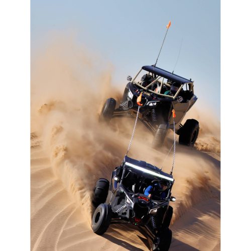 Canon RF 1200mm / 8 L IS USM (5056C005)