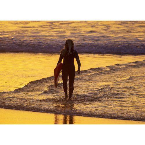 Canon RF 1200mm / 8 L IS USM (5056C005)