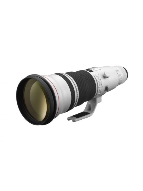 Canon EF 600mm / 4 L IS USM mark II