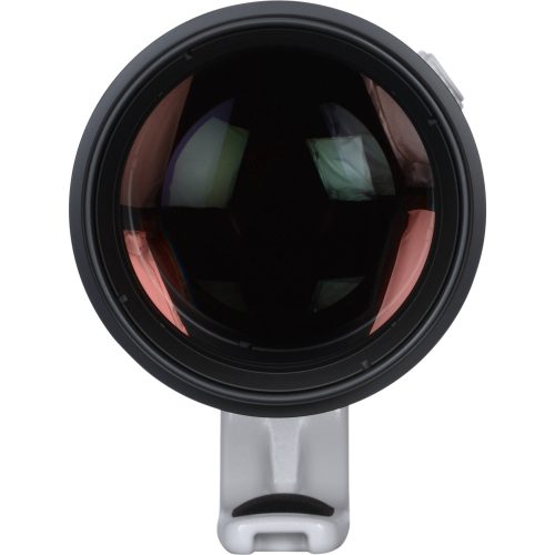 Canon EF 200-400mm / 4.0 L IS USM