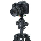 VANGUARD SBH-250 gömbfej