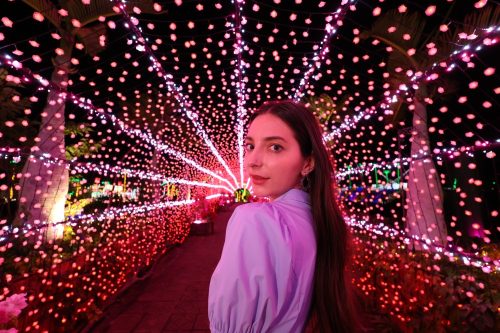 Canon RF 24mm / 1.8 IS STM macro (-15% Kuponkód:CB-RF15) (5668C005)