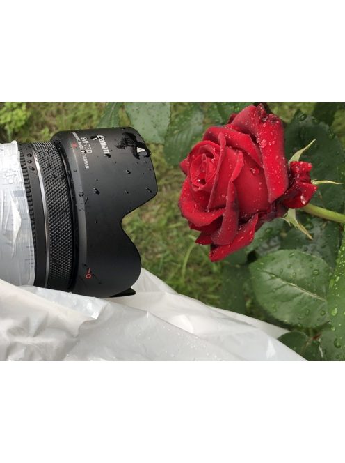 Canon RF 24mm / 1.8 IS STM macro (5668C005)