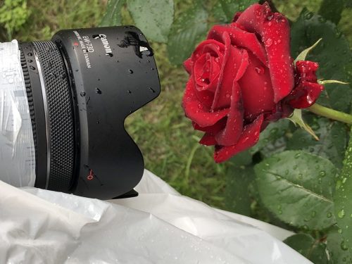 Canon RF 24mm / 1.8 IS STM macro (-15% Kuponkód:CB-RF15) (5668C005)