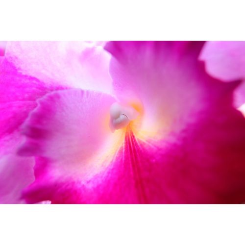 Canon RF 15-30mm / 4.5-6.3 IS STM (-15% Kuponkód:CB-RF15) (5775C005)