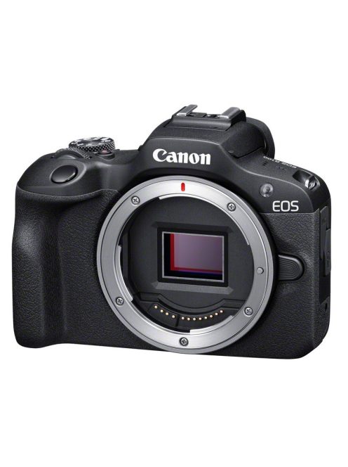 Canon EOS R100 + RF-S 18-45mm / 4.5-6.3 IS STM + RF-S 55-210mm / 5-7.1 IS STM  (6052C023)