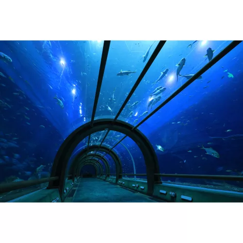 Canon RF-S 10-18mm / 4.5-6.3 IS STM (-15% Kuponkód:CB-RF15) (6262C005)