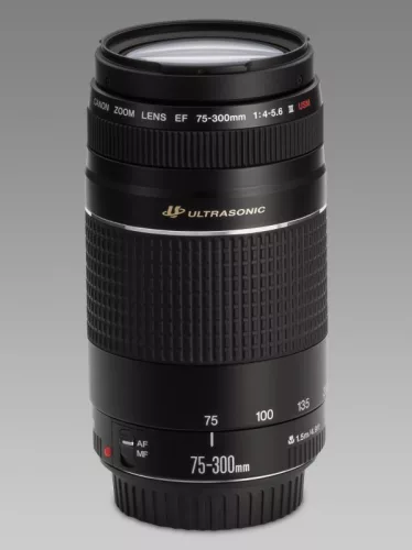 Canon EF 75-300mm / 4.0-5.6 USM mark III