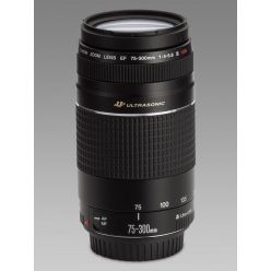 Canon EF 75-300mm / 4.0-5.6 USM mark III