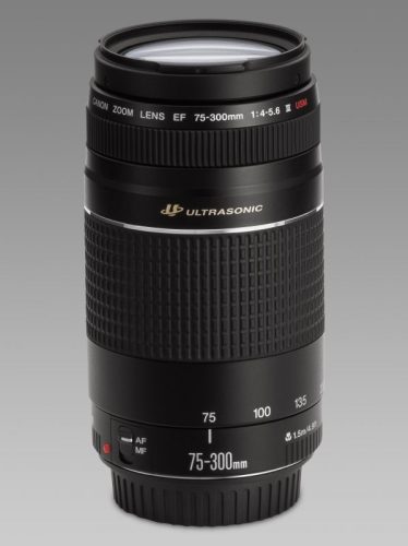 Canon EF 75-300mm / 4.0-5.6 USM mark III