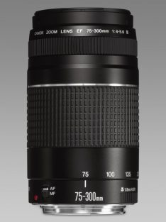 Canon EF 75-300mm / 4.0-5.6 mark III