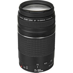 Canon EF 75-300mm / 4.0-5.6 mark III