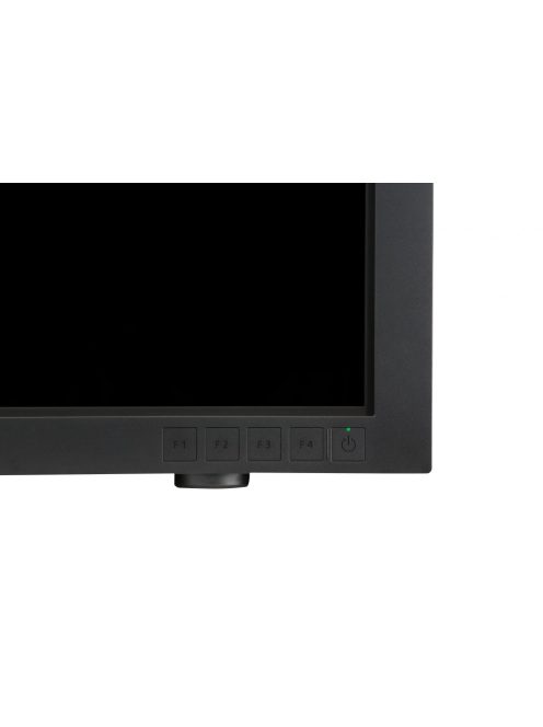Canon DP-V3010 (4K) Reference Monitor (30") (6902B003)