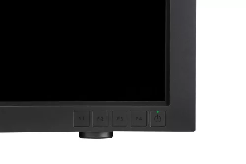 Canon DP-V3010 (4K) Reference Monitor (30") (6902B003)