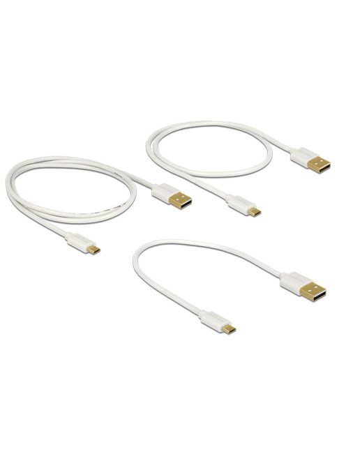 Delock USB 2.0 A-USB 2.0 Micro B kábel szett (30cm, 60cm, 90cm) (3db) (white)