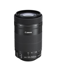 Canon EF-S 55-250mm / 4-5.6 IS STM (8546B005)