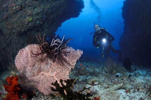 Canon PowerShot D30 (GPS)