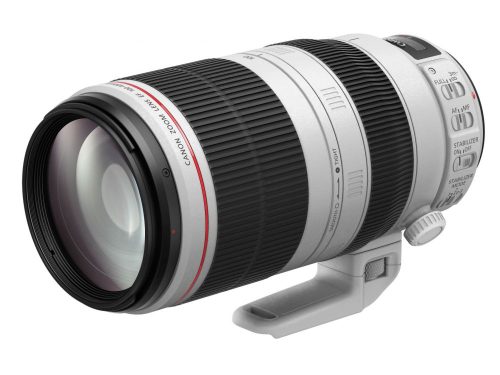 Canon EF 100-400mm / 4.5-5.6 L IS USM mark II (9524B005)