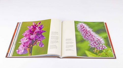 Dezső László - Erdély - A Kárpátok Tündérkertje