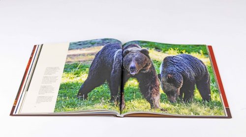 Dezső László - Erdély - A Kárpátok Tündérkertje