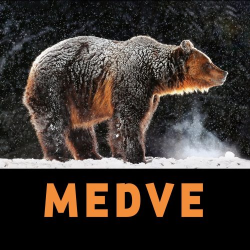Dezső László - MEDVE