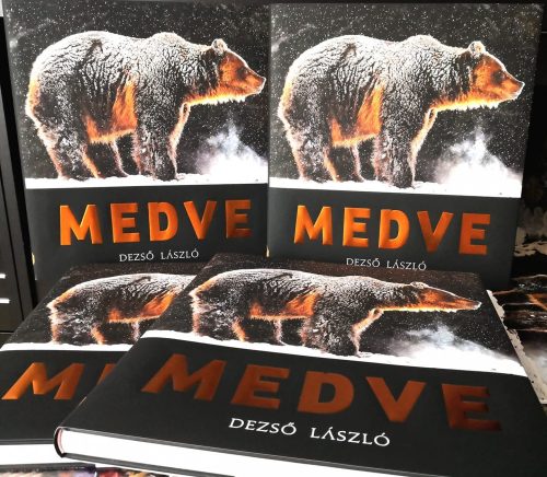 Dezső László - MEDVE