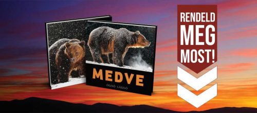 Dezső László - MEDVE