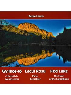 Dezső László - Gyilkos-tó