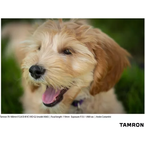 Tamron 70-180mm / 2.8 Di III VC VXD (G2) (for Sony E) (A065S)