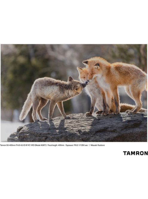 TAMRON 50-400mm / 4.5-6.3 Di III VC VXD (for Sony E) (A067S)