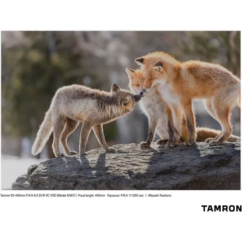 Tamron 50-400mm / 4.5-6.3 Di III VC VXD (for Nikon Z) (A067Z)