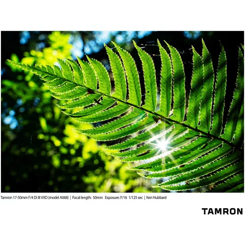 Tamron 17-50mm / 4 Di III VXD (for Sony E) (A068S)