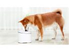 Xiaomi intelligens kisállat itató / Smart Pet Water Fountain (BHR6161EU)