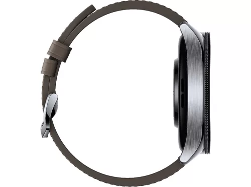 Xiaomi Watch 2 PRO (LTE) (silver/brown) (BHR7216GL)