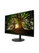 V7 L238IPS-HAS-E monitor (23.8") (FHD) (IPS)