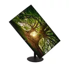 V7 L238IPS-HAS-E monitor (23.8") (FHD) (IPS)