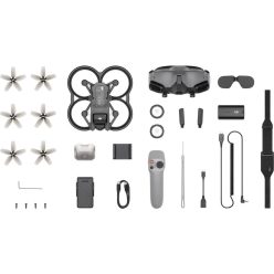 DJI Avata Pro-View Combo (DJI Goggles 2) (CP.FP.00000101.01)