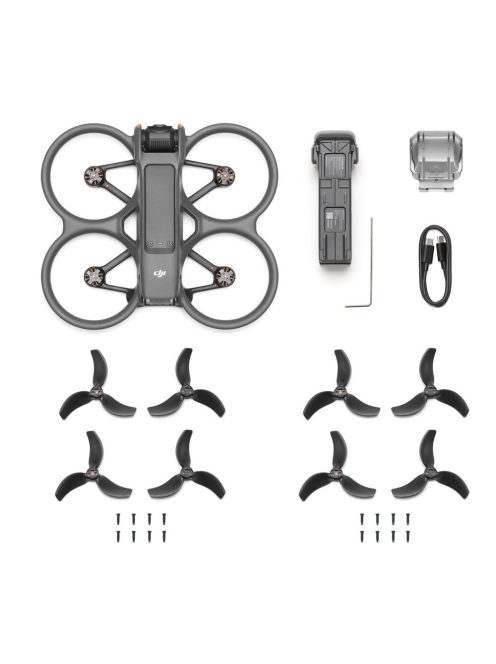 DJI Avata 2 (Drone Only) (CP.FP.00000149.01)