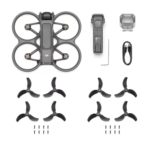 DJI Avata 2 (Drone Only) (CP.FP.00000149.01)