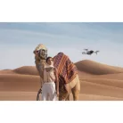 Mavic Air 2 (EU) (CP.MA.00000178.02)