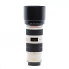Canon EF 300mm / 2.8 L IS USM mark II
