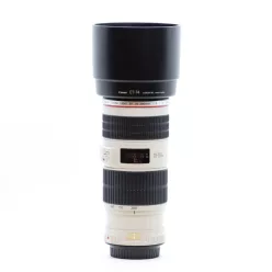 Canon EF 300mm / 2.8 L IS USM mark II
