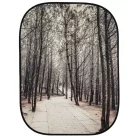 Lastolite Perspective Background Steps/Trees (LB5740)