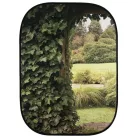 Lastolite Perspective Background Evening/Ivy (LB5742)