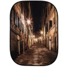 Lastolite Perspective Background Evening/Ivy (LB5742)