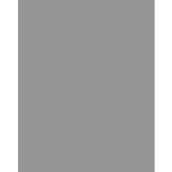 Lastolite szürke vinyl háttér - 2,75m x 6m