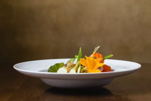 Lastolite Urban Collapsible 1.5 x 2.1m Corrugated/Metal (LB5712)