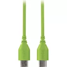 SC22 30cm USB-C to USB-C Cable, zöld