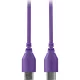 SC22 30cm USB-C to USB-C Cable, lila