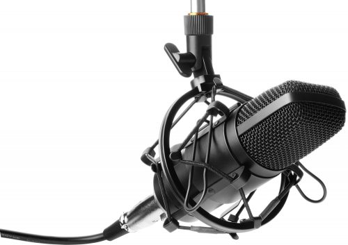 Yenkee YMC 1030 STREAMER Desktop Microphone
